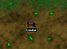 froginvasion.gif